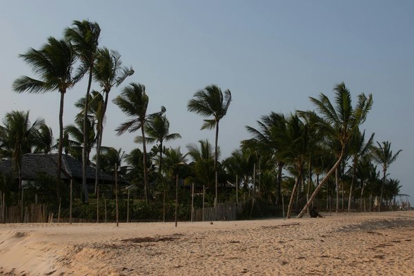 Comment organiser une expédition de kayak dans les fjords de Norvège en hiver?